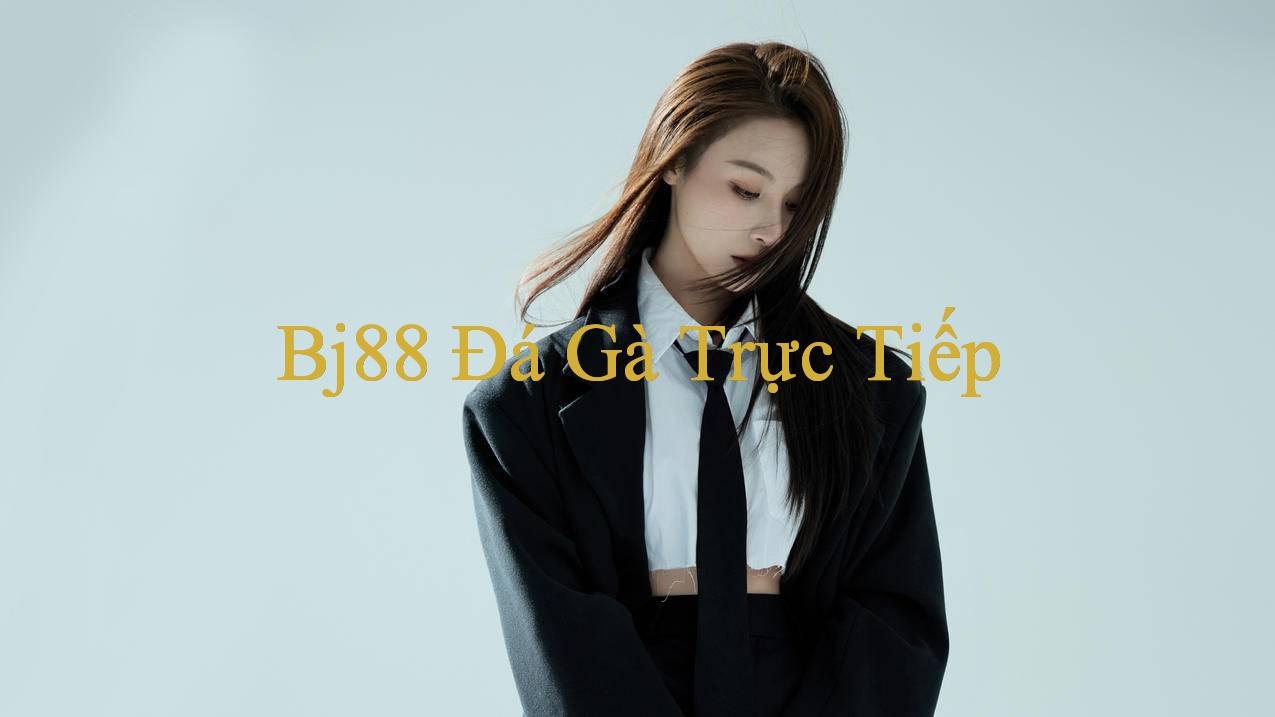 You are currently viewing Khám Phá Thế Giới Đá Gà Tại 78Win08 Con Trải Nghiệm Đầy Kích Thích