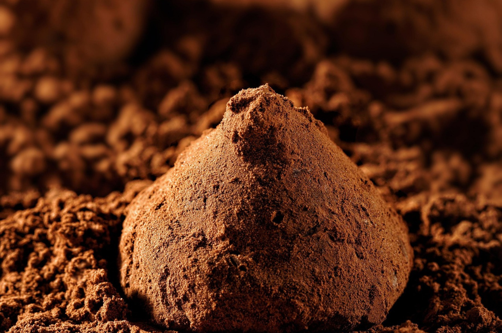 You are currently viewing Khám Phá Xs Dn Nơi Đem Đến Những Trải Nghiệm Chơi Game Đỉnh Cao