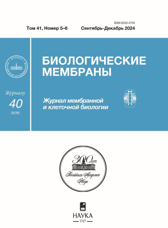 You are currently viewing Khám Phá J88.Sa.Com – Cổng Ngõ Giải Trí Hàng Đầu