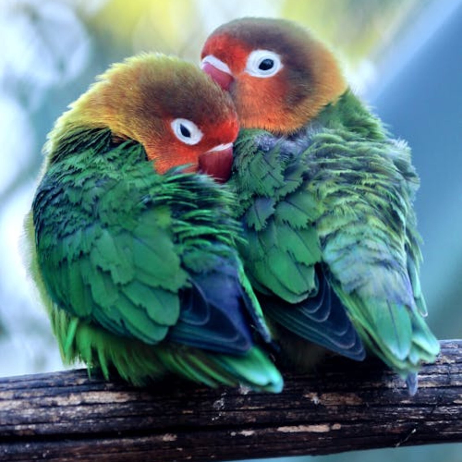 You are currently viewing Khám Phá Không Gian Giải Trí Với Nhà Đất Bá Hưng Những Trải Nghiệm Đầy Hấp Dẫn