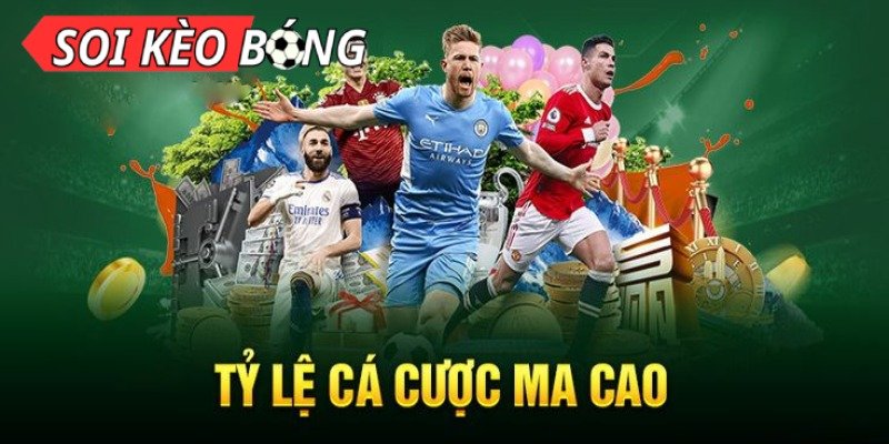 You are currently viewing Khám Phá Javxyz – Hướng Dẫn Đầy Đủ Cho Người Mới