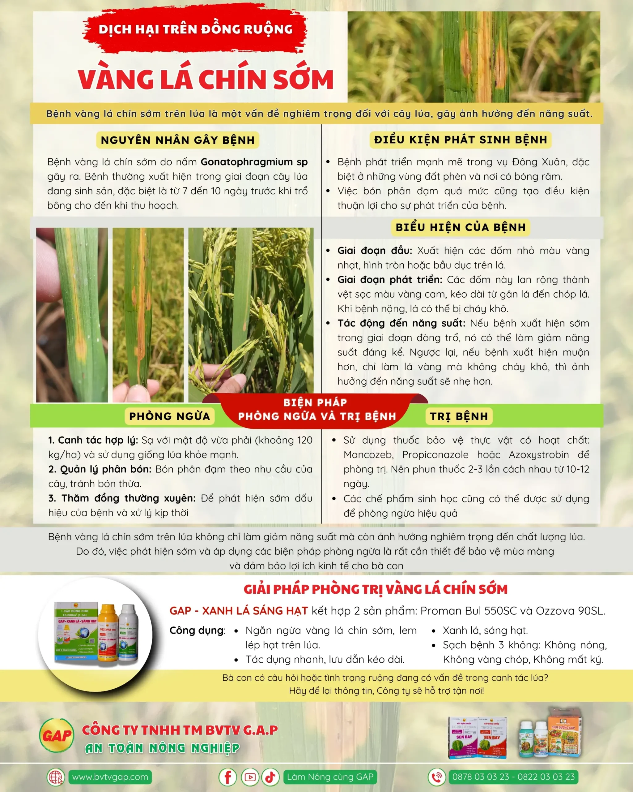 You are currently viewing Review Côn Đảo Tự Túc Chiến Lược Tối Ưu Hóa Tài Khoản Game